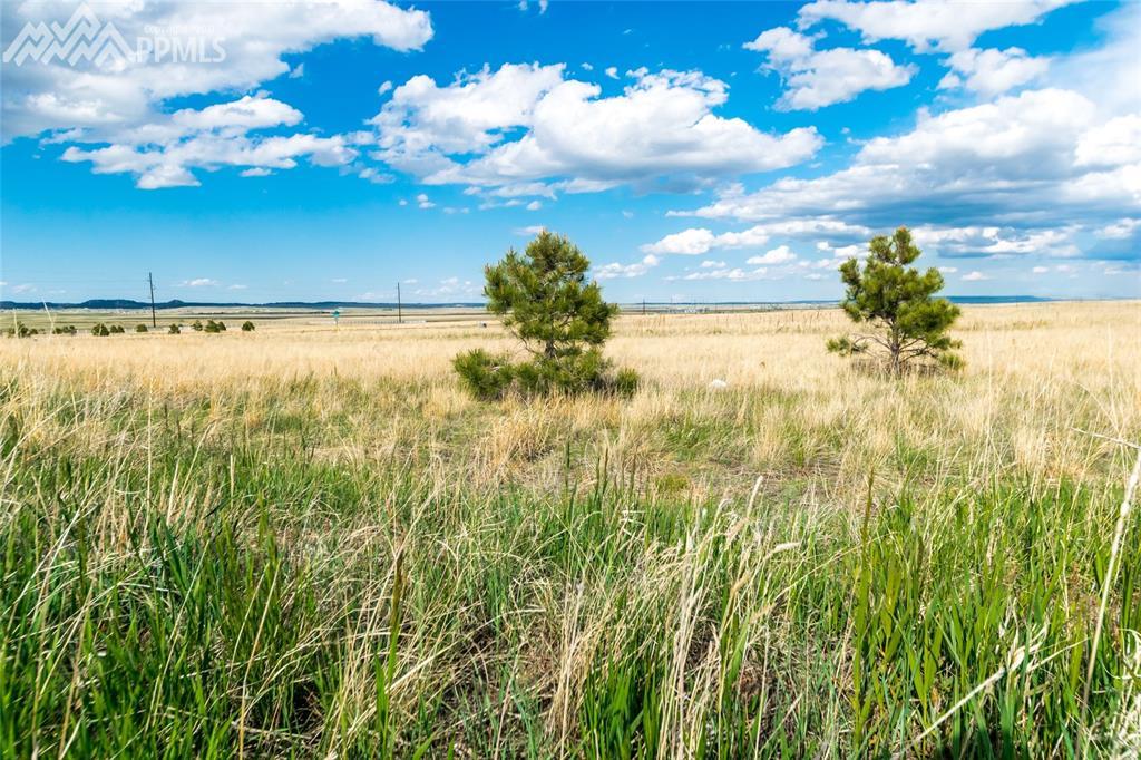 12115 Silver Concho Trail - Photo 1