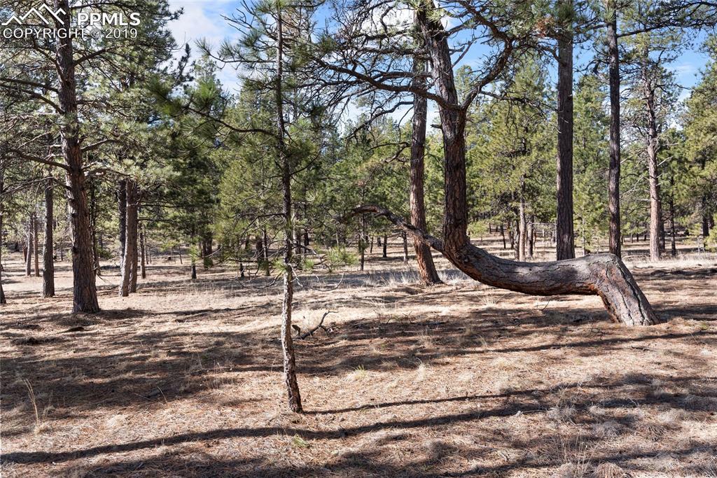 00 Meridian Road - Photo 1