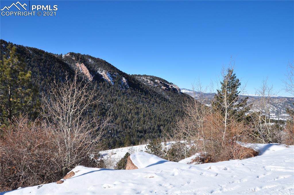 161 Last Dollar Drive - Photo 1