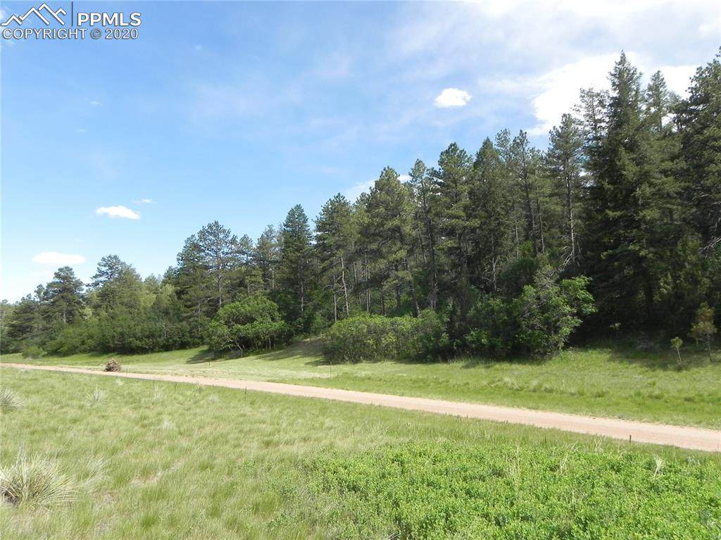 4466 Comanche Drive - Photo 1