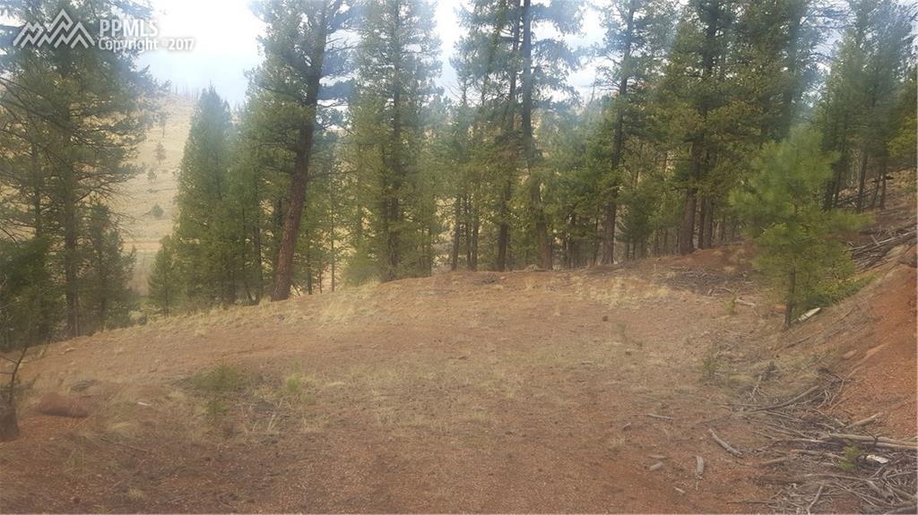 1176 Trail Creek Road - Photo 1