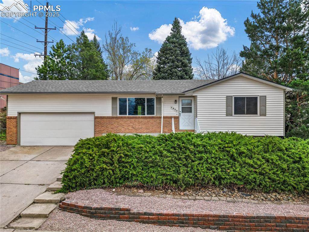4805 Mallow Road - Photo 1
