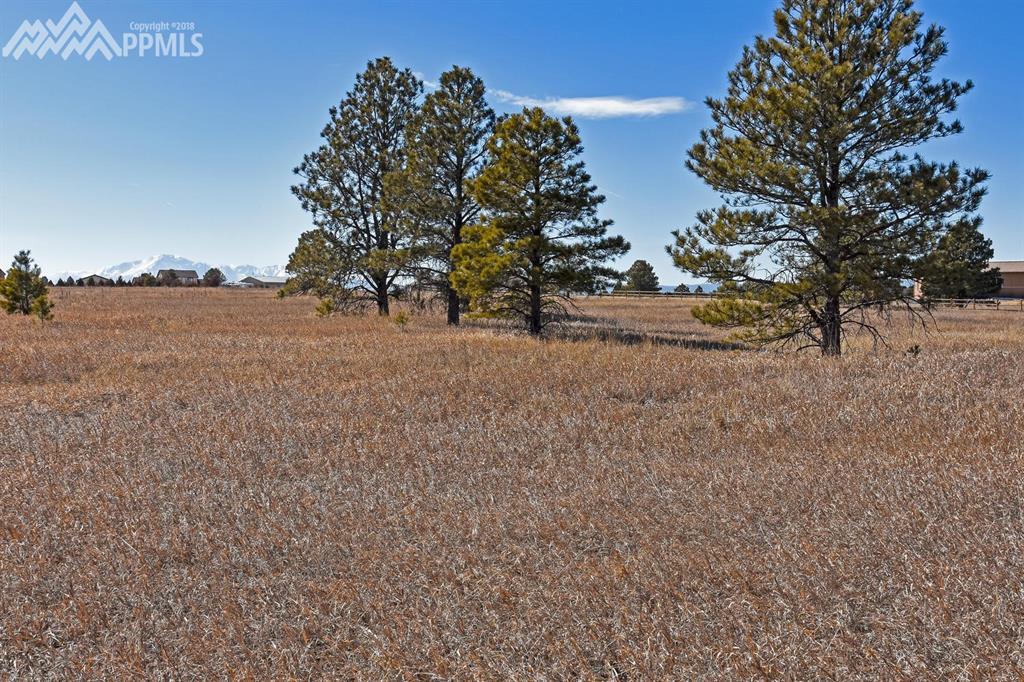 2685 Highway 105 - Photo 1