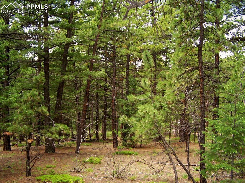 1475 Kings Crown Road - Photo 1