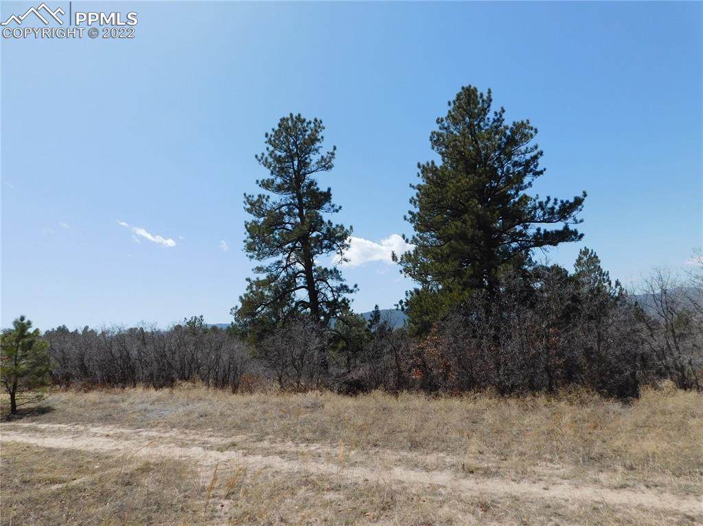 6901 Cinque Tail Drive - Photo 1