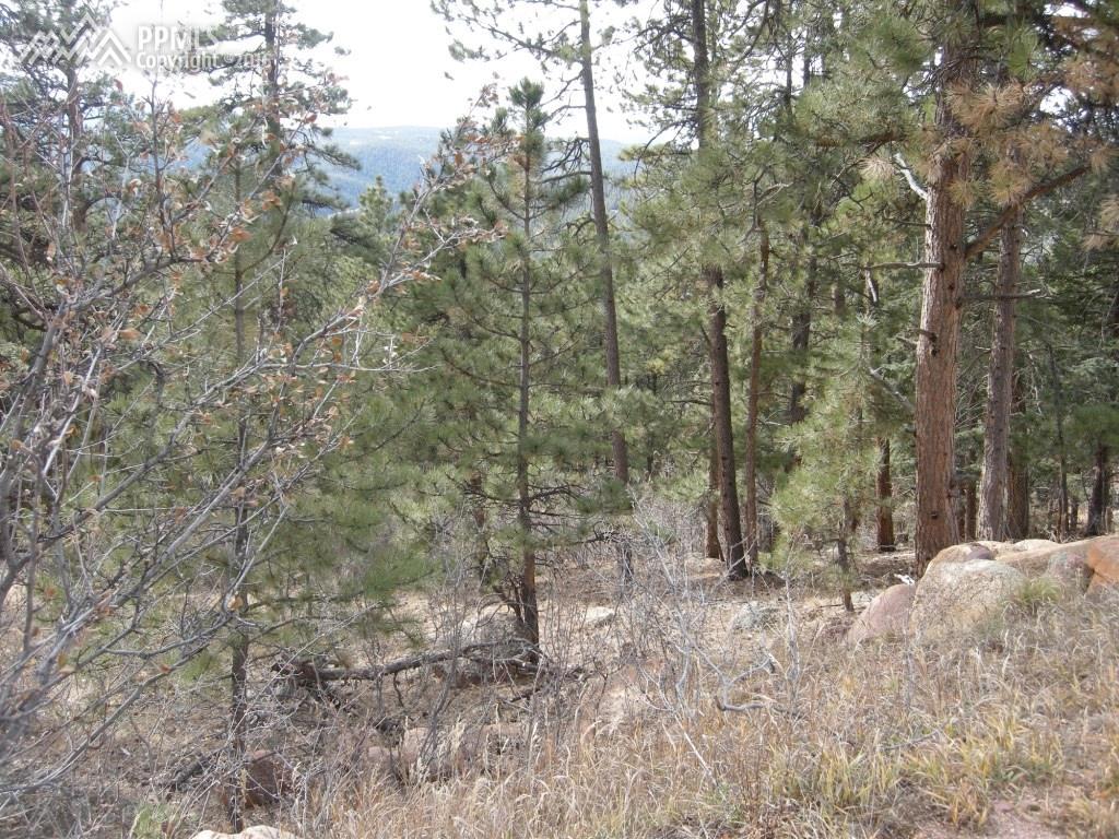 1140 Kings Crown Road - Photo 1