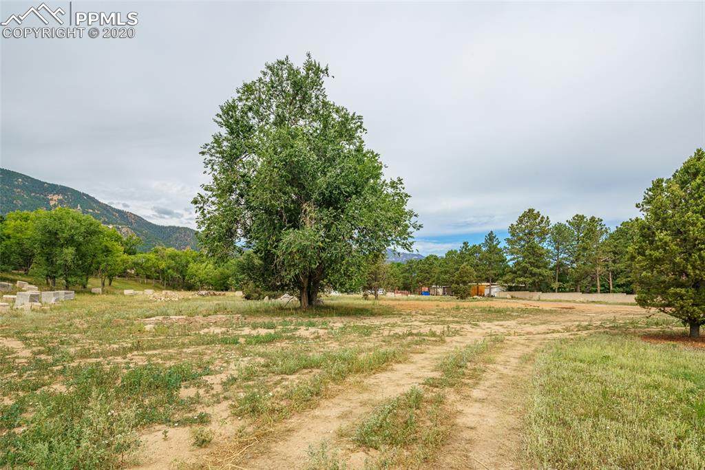 65 Marland Place - Photo 1