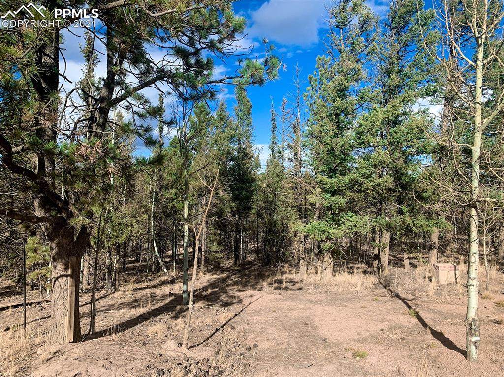 47 and 73 Aster Road - Photo 1