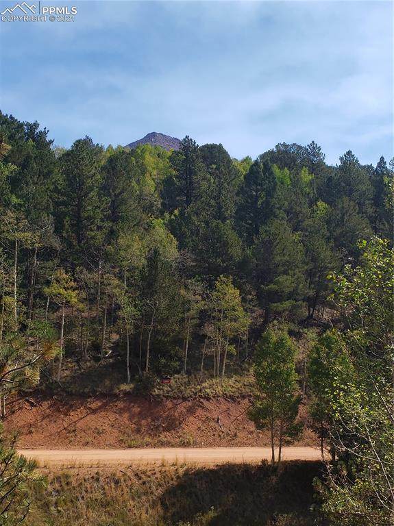 170 Valley Road - Photo 1