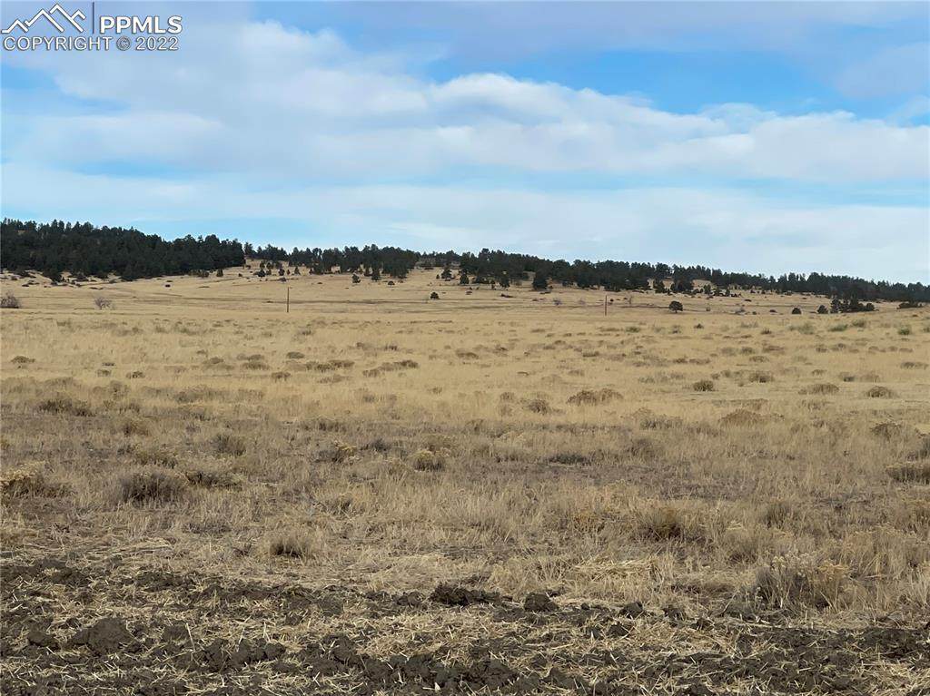 006 Stockyard Road - Photo 1