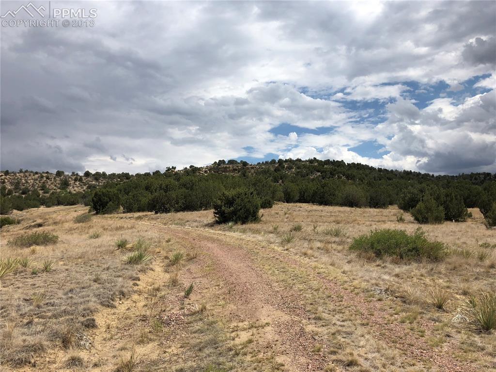 7559 Soda Creek Road - Photo 1