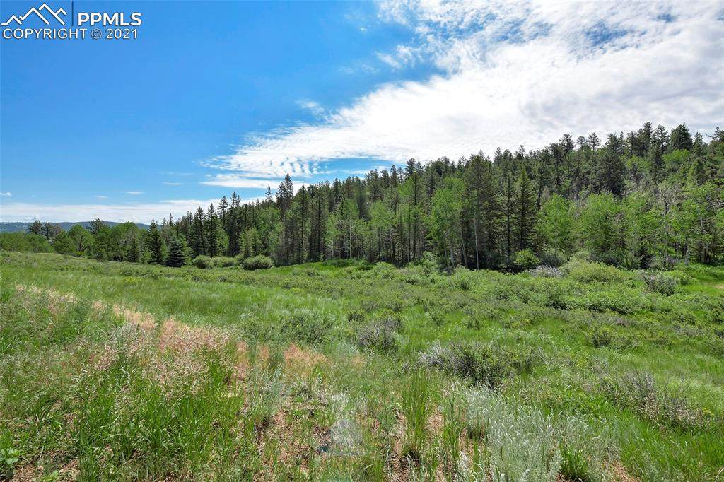 1620 Park Ridge Drive - Photo 1
