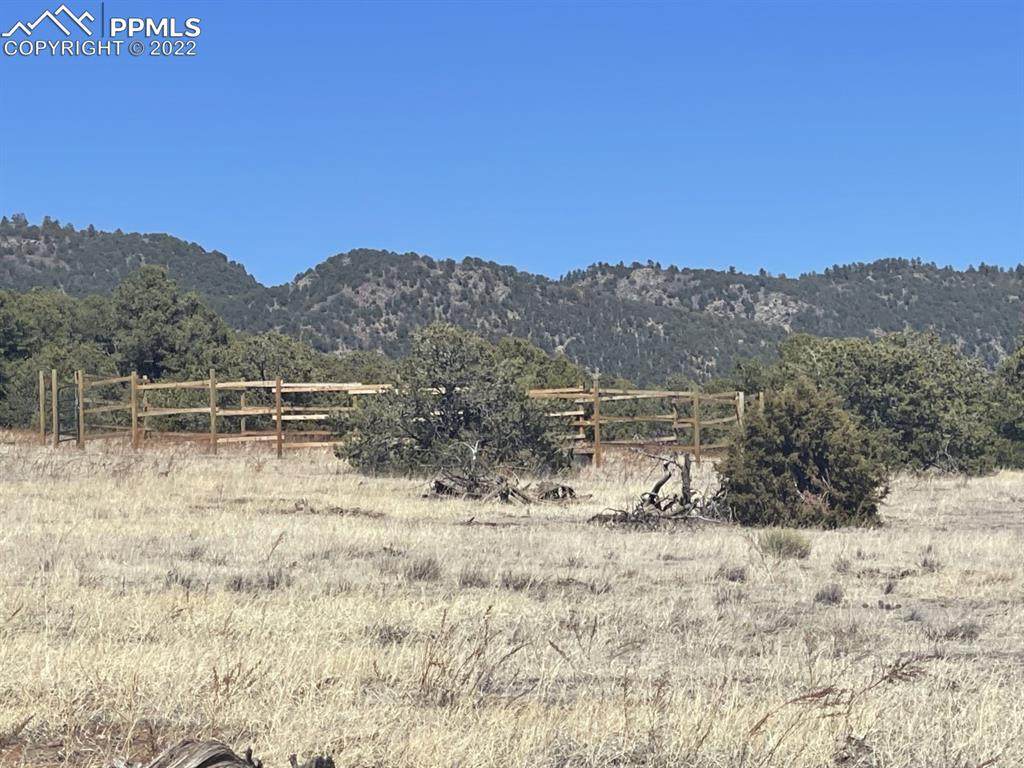 2703 Old Crow Path - Photo 1