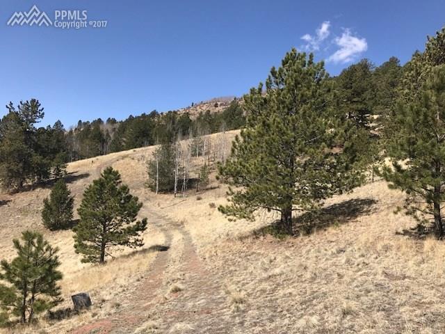 County 861 Road - Photo 1