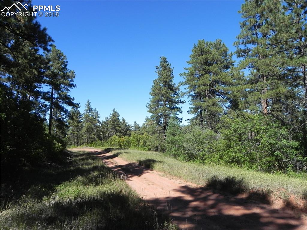 8122 Acoma Street - Photo 1