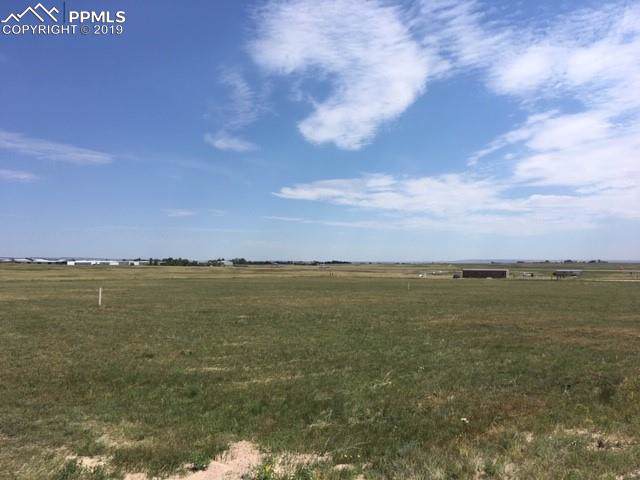 7448 Mallard Drive - Photo 1