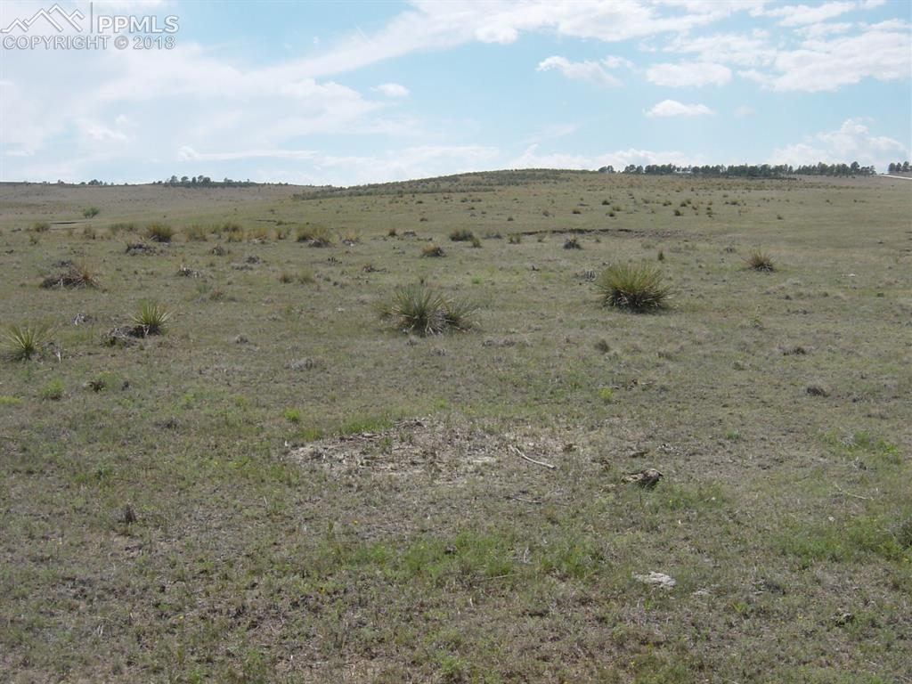 D County 73 Road - Photo 1