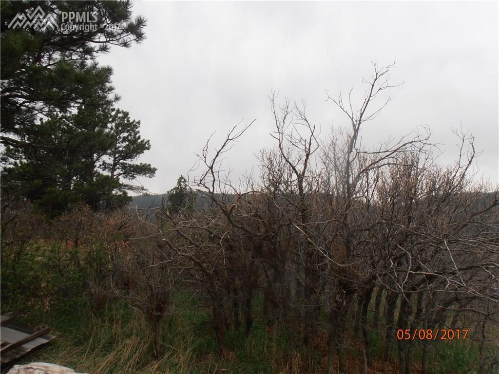007 Roosevelt Street - Photo 1