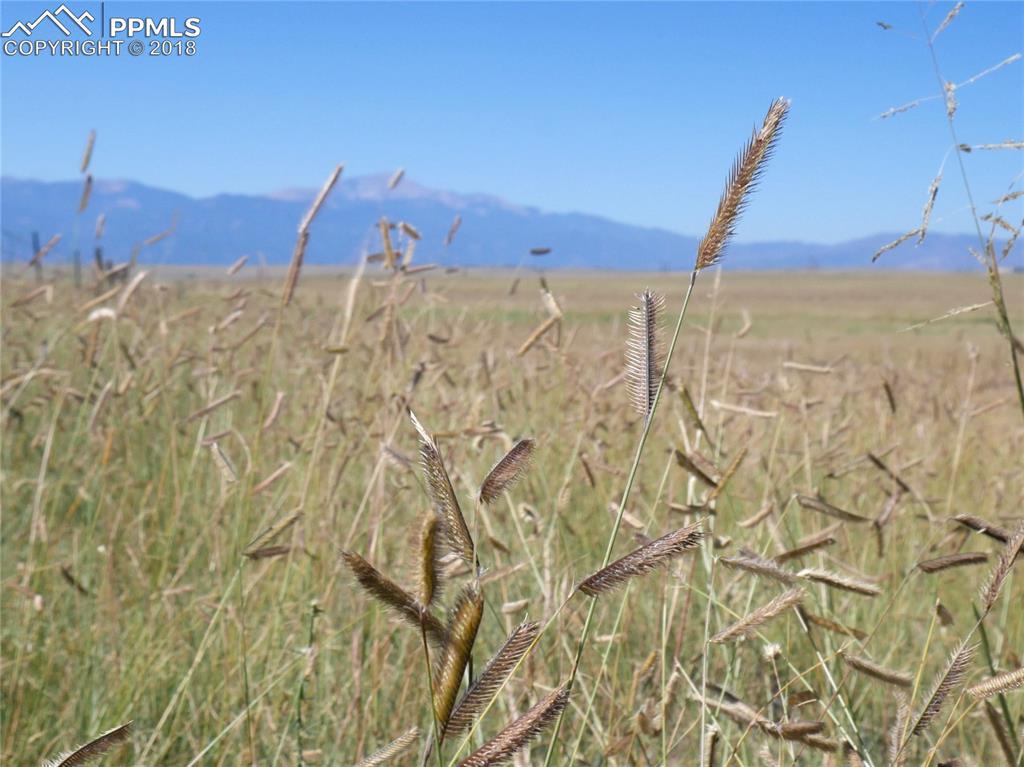 Lot 6 Franceville Coal Mine Road - Photo 1