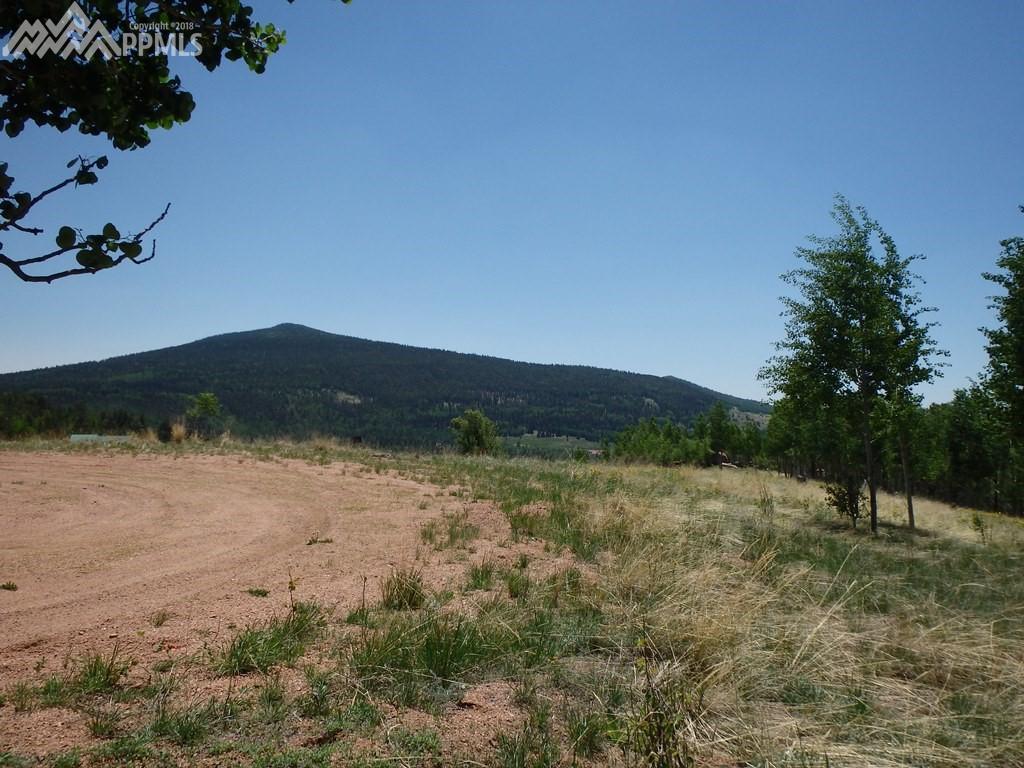255 Andes Terrace - Photo 1