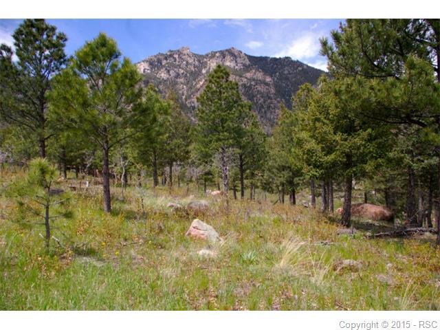 920 Grey Mountain Point - Photo 1