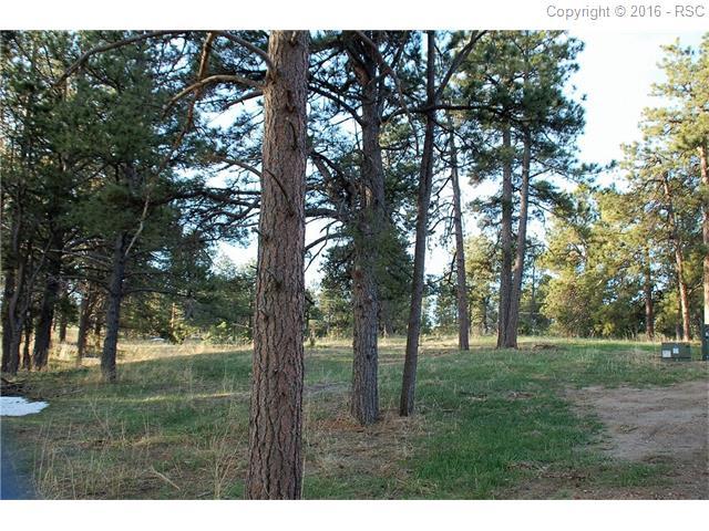 4383 Settlers Ranch Road - Photo 1