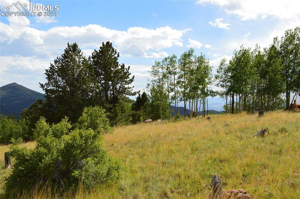 1368 Fairview Drive - Photo 1