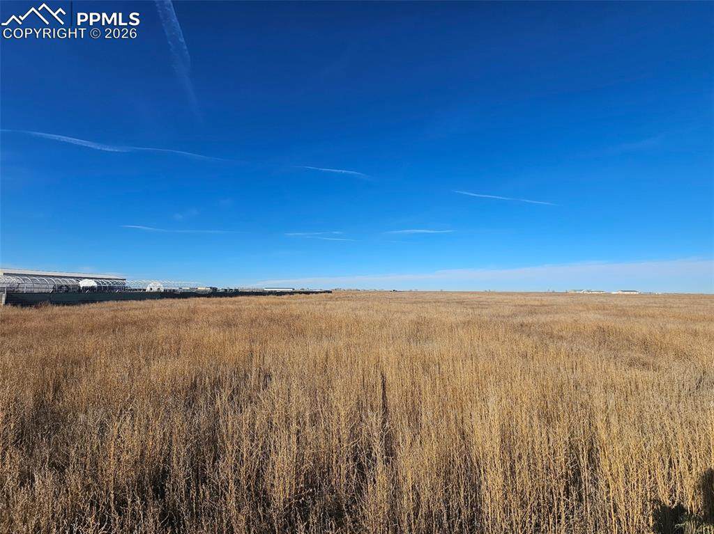 20243 Sherman Lane - Photo 1
