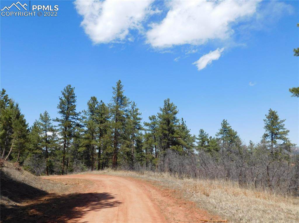 8098 Acoma Drive - Photo 1