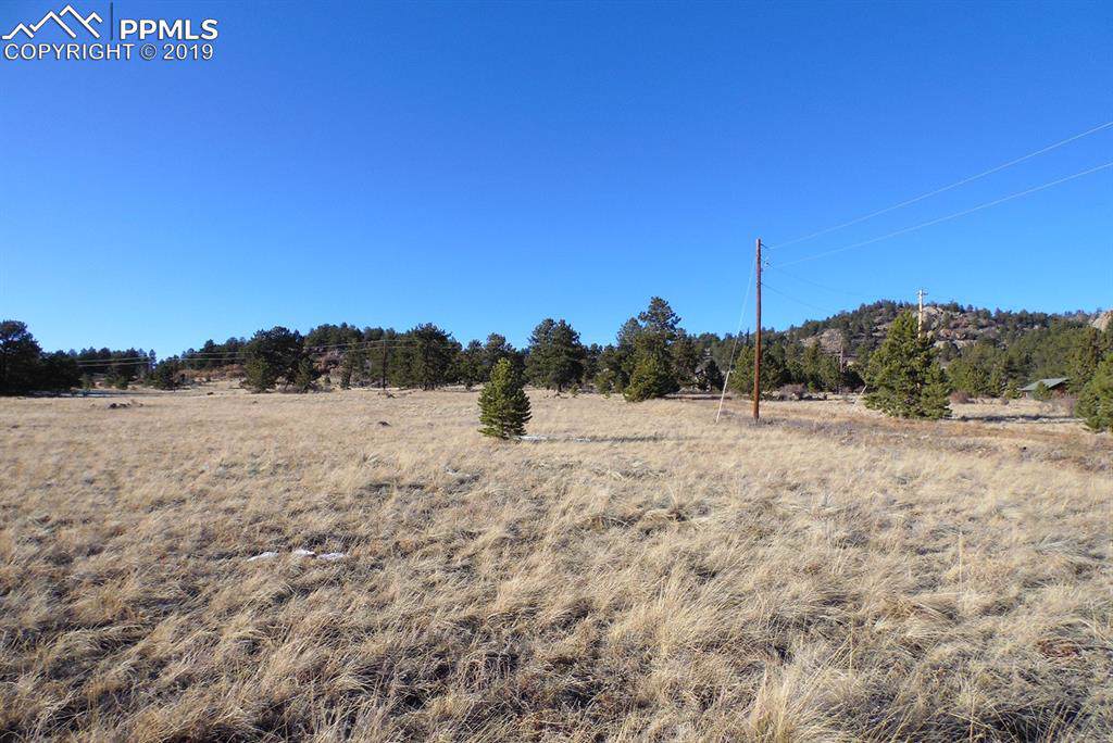 775 Pikes Trail - Photo 1