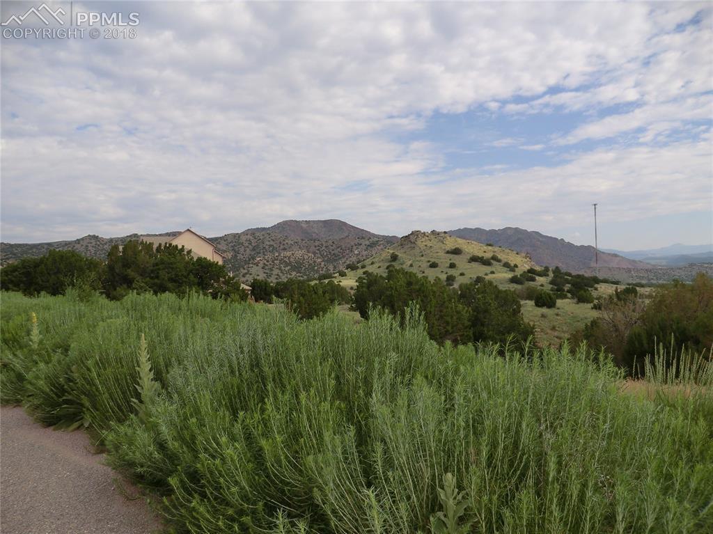 142 Osprey Court - Photo 1