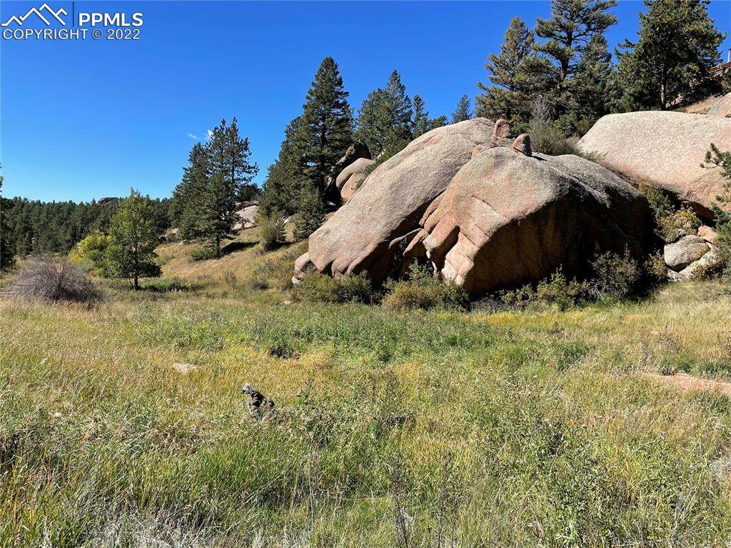 830 Pinon Lane - Photo 1