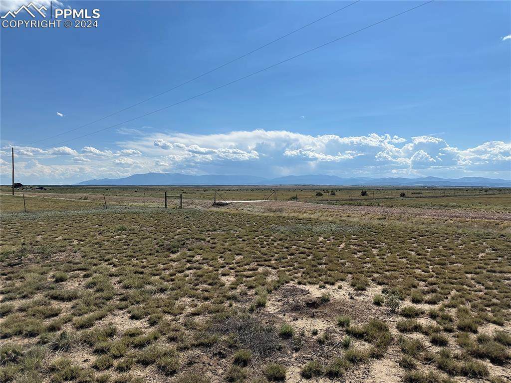 3668 Siegel Way - Photo 1
