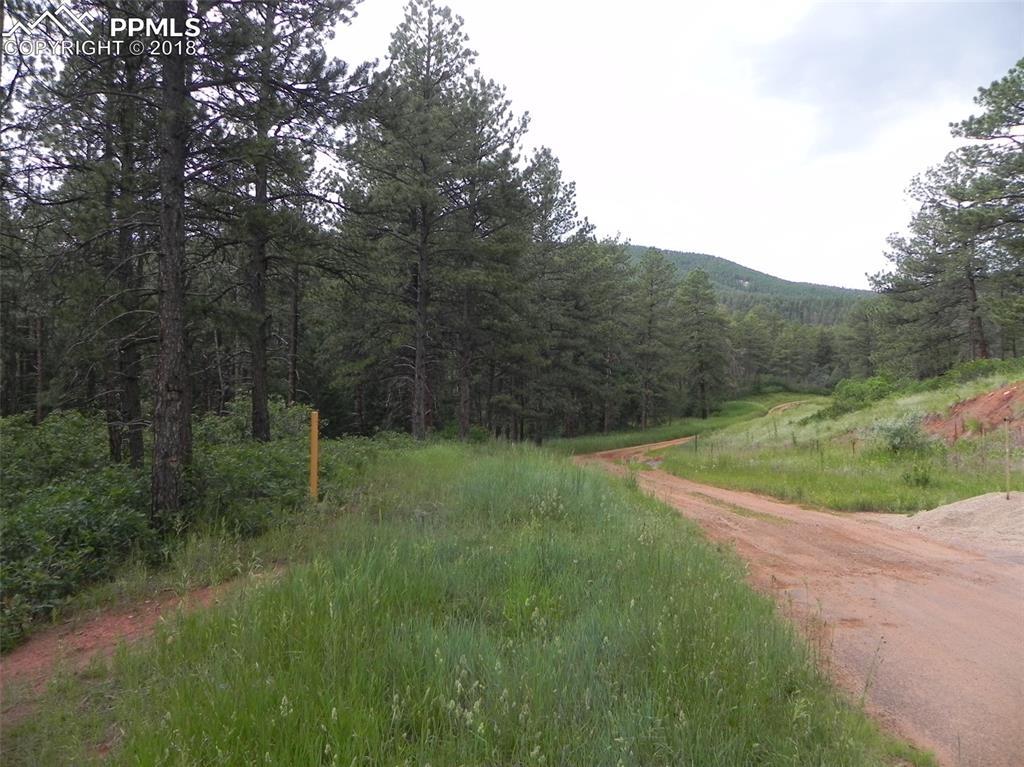 8151 Bannock Drive - Photo 1