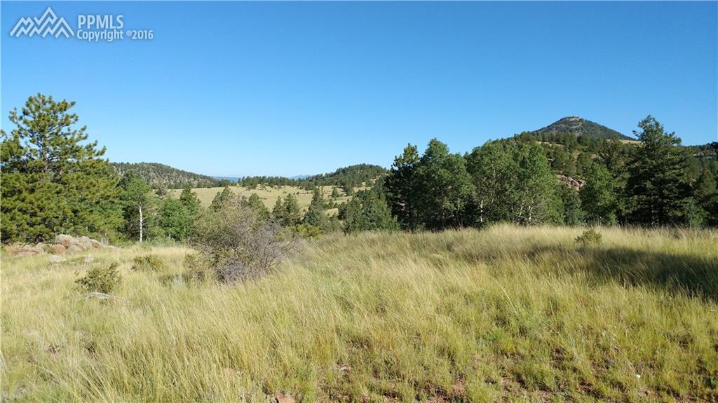 316 Penrose Circle - Photo 1