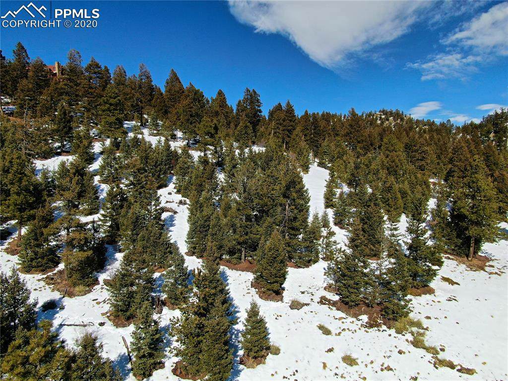 164 Palmer Trail - Photo 1