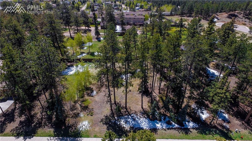 635 Meadowlark Lane - Photo 1
