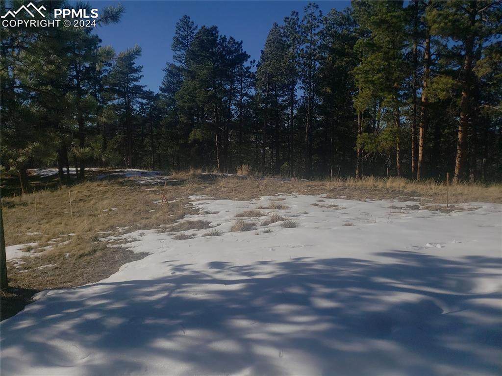 206 Eagles Perch Place - Photo 1