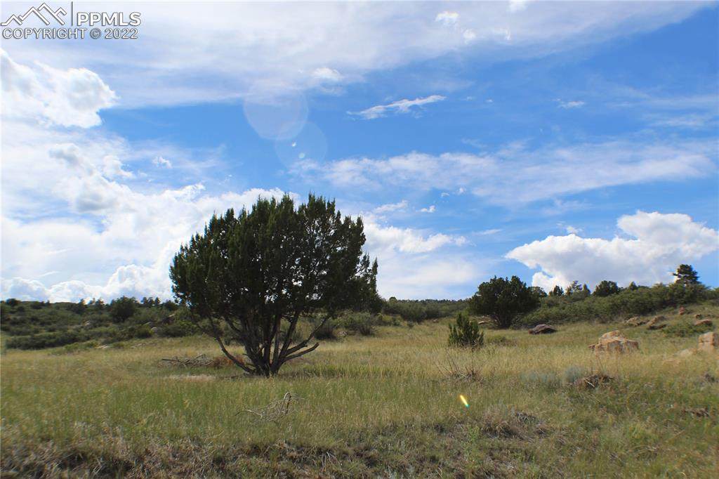 LOT79 Cree Court - Photo 1