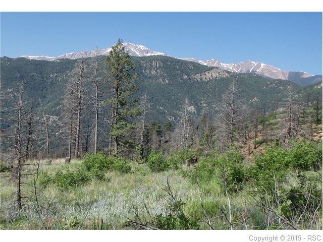 4165 Pyramid Mountain Road - Photo 1