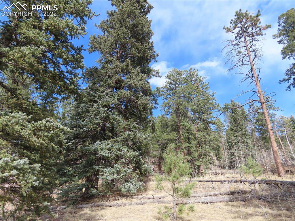 4724 County Road 33 - Photo 1
