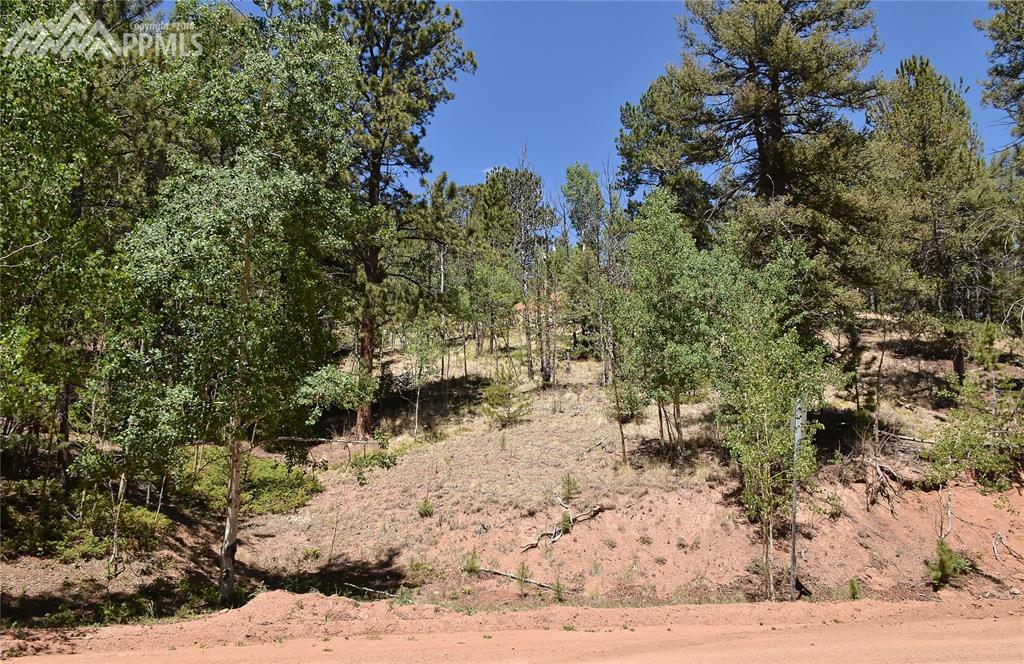 16 Horseshoe Drive - Photo 1