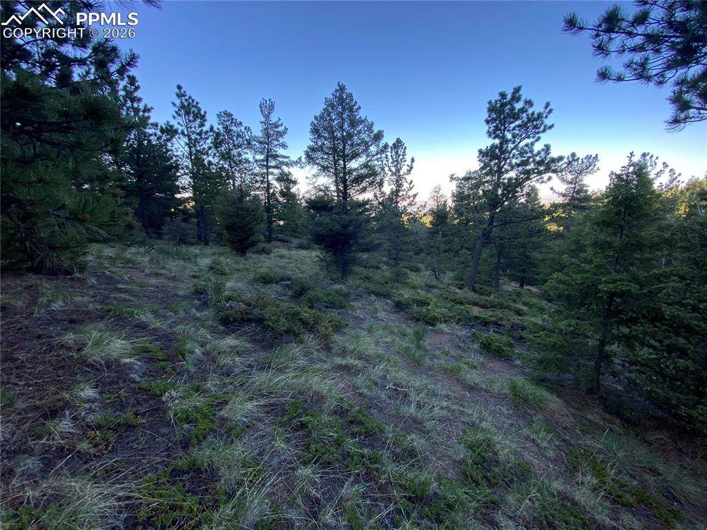 285 Forest Road - Photo 1