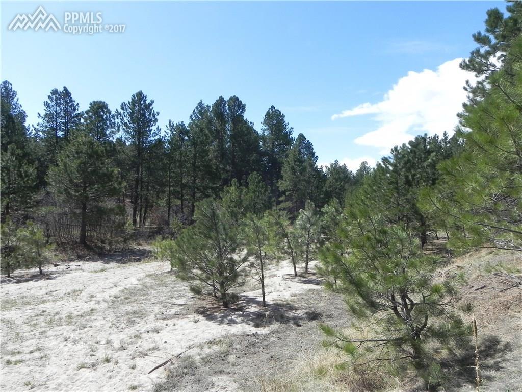 695 Independence Drive - Photo 1