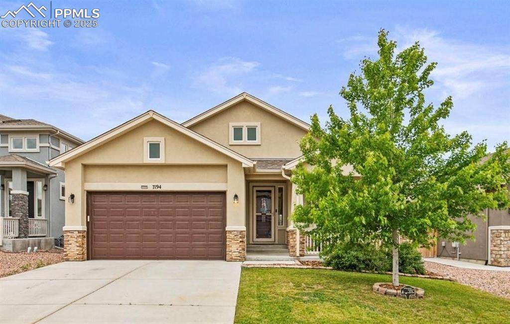 7194 Peachleaf Drive - Photo 1