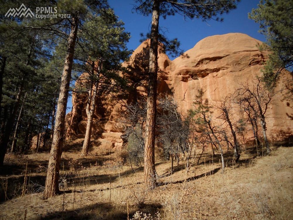 8208 Bannock Drive - Photo 1