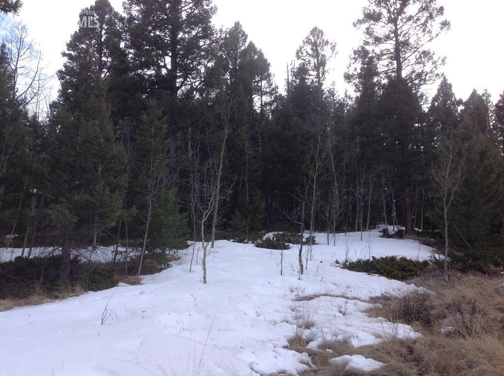 52 Spanish Bit Drive - Photo 1