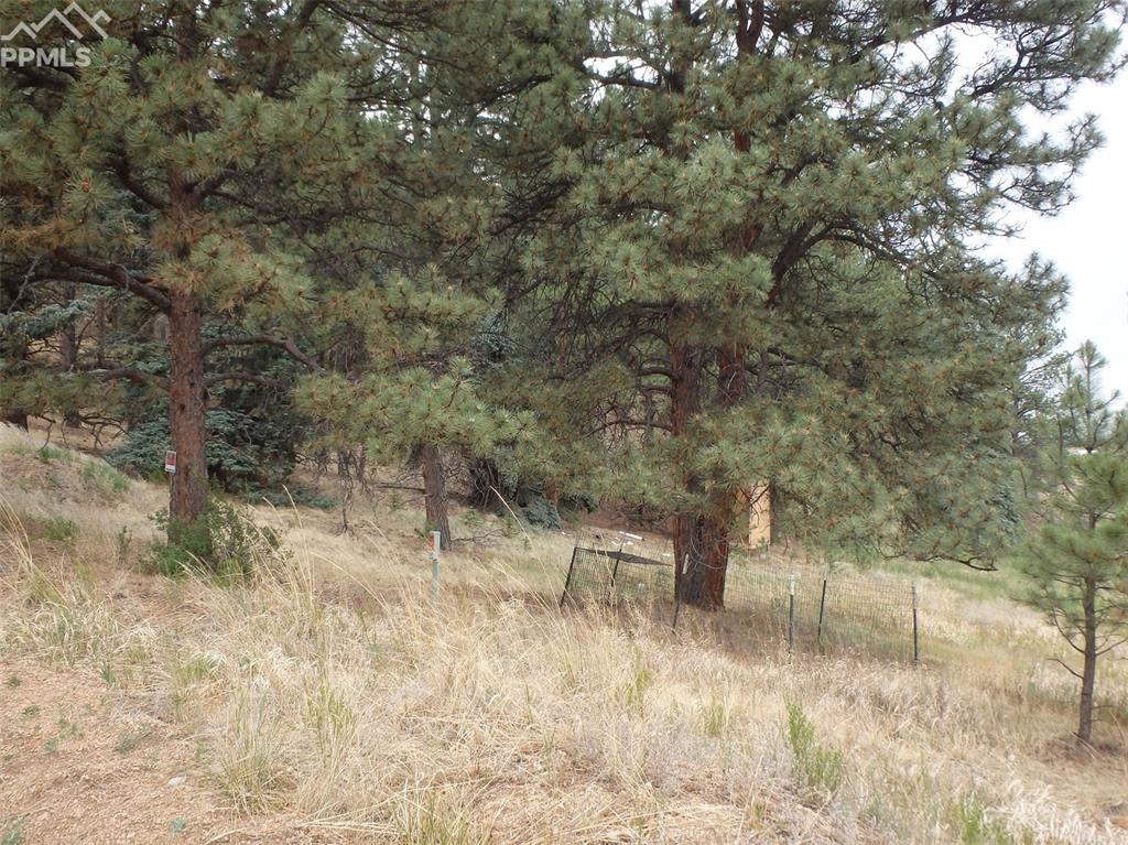 219 Steven Drive - Photo 1