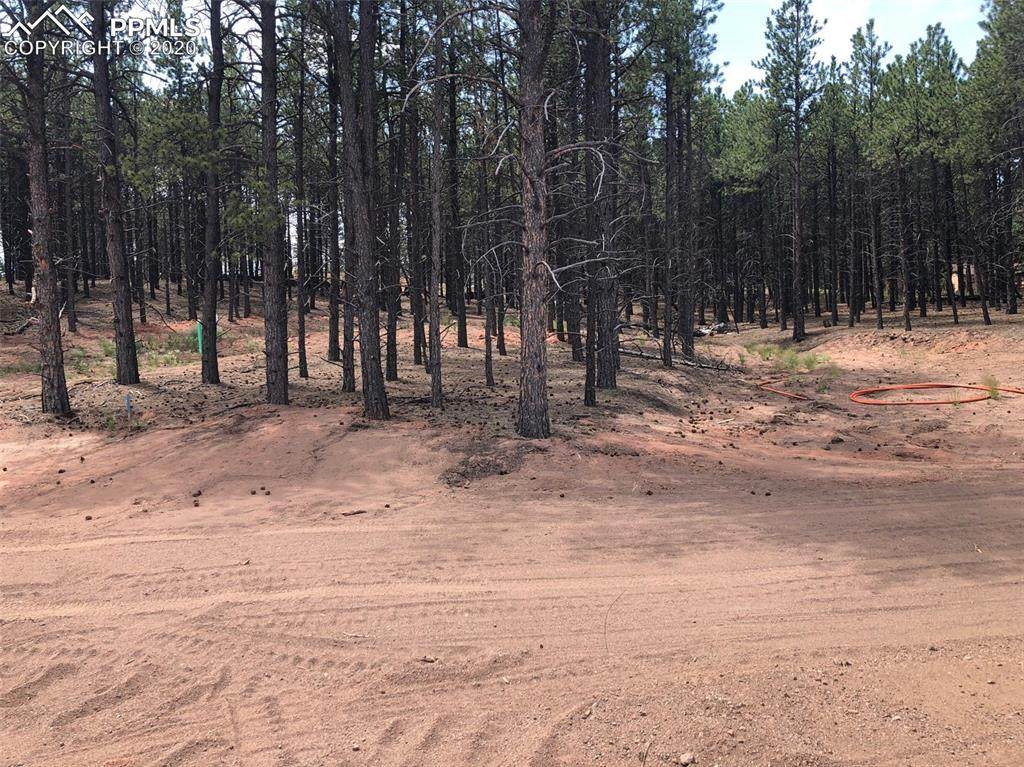 tbd Roberts Ranch Road - Photo 1