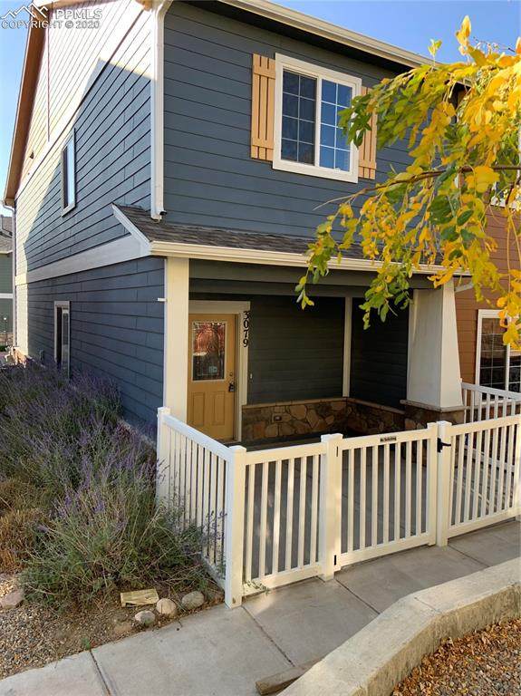 3079 Harpy Grove - Photo 1